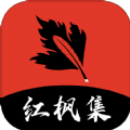 WWW,av801·COM网站APPAPP应用